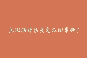 虎斑猫掉色是怎么回事啊?
