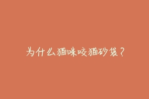 为什么猫咪咬猫砂袋?
