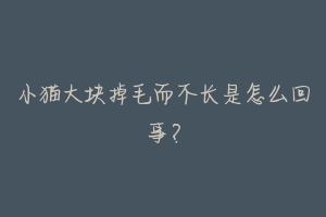 小猫大块掉毛而不长是怎么回事?