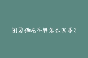 田园猫吃不胖怎么回事?