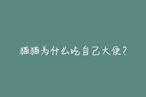 猫猫为什么吃自己大便?