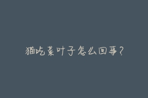 猫吃菜叶子怎么回事?