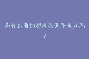 为什么有的猫提起来不卷尾巴?