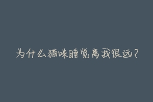 为什么猫咪睡觉离我很远?