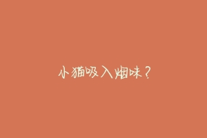 小猫吸入烟味?