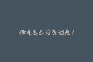 猫咪怎么没有泪痕？