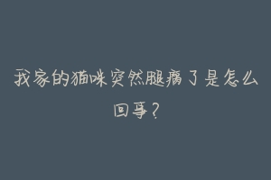 我家的猫咪突然腿瘸了是怎么回事？