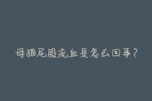母猫屁股流血是怎么回事？