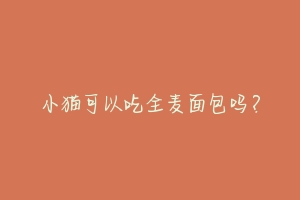 小猫可以吃全麦面包吗?