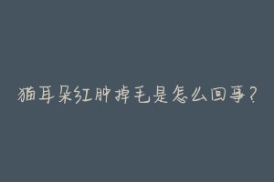 猫耳朵红肿掉毛是怎么回事?