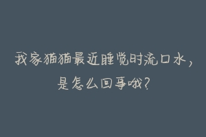我家猫猫最近睡觉时流口水,是怎么回事哦?