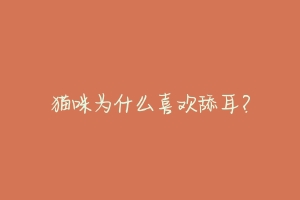 猫咪为什么喜欢舔耳?