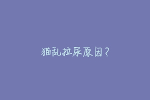 猫乱拉尿原因?