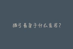 猫弓着身子什么意思?