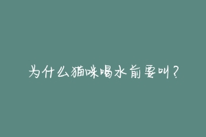 为什么猫咪喝水前要叫？