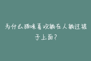 为什么猫咪喜欢躺在人躺过被子上面？