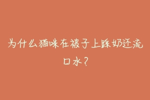 为什么猫咪在被子上踩奶还流口水？