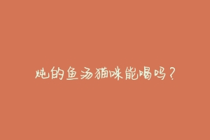 炖的鱼汤猫咪能喝吗?