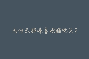 为什么猫咪喜欢睡枕头？