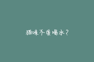 猫咪不爱喝水?