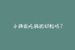 小猫能吃骆驼奶粉吗?