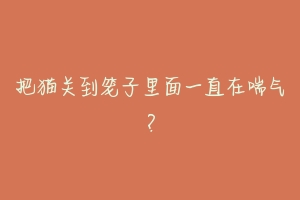 把猫关到笼子里面一直在喘气?