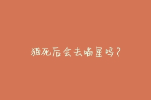 猫死后会去喵星吗?