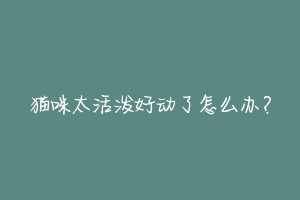 猫咪太活泼好动了怎么办?