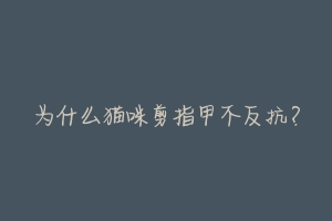 为什么猫咪剪指甲不反抗?