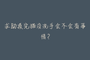 求助摸完猫没洗手会不会有事情?