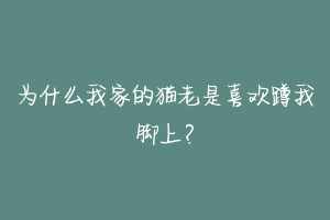 为什么我家的猫老是喜欢蹲我脚上?