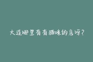 大连哪里有有猫咪的店呀?