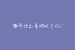 猫为什么喜欢咬耳机?