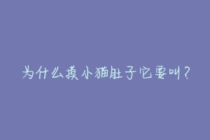 为什么摸小猫肚子它要叫?