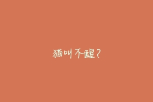 猫叫不醒?