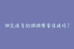 做完绝育的猫猫需要保暖吗?