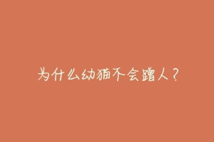 为什么幼猫不会蹭人?