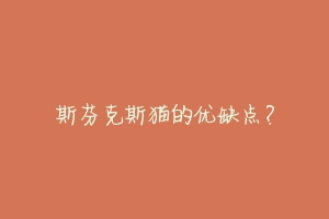 斯芬克斯猫的优缺点?