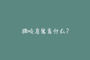 猫咬鸟寓意什么?