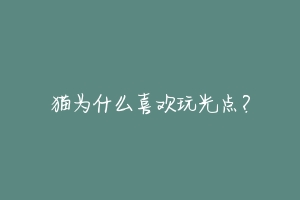 猫为什么喜欢玩光点?