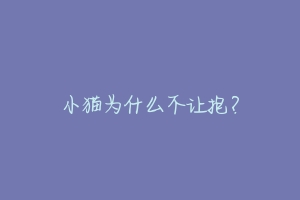 小猫为什么不让抱?