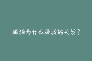 猫猫为什么舔我的头发?