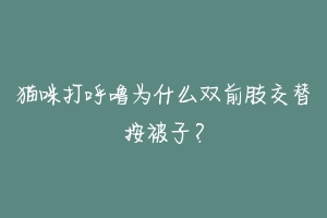 猫咪打呼噜为什么双前肢交替按被子?