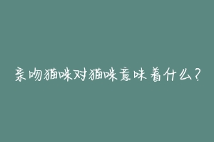 亲吻猫咪对猫咪意味着什么?