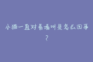 小猫一直对着墙叫是怎么回事?