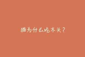 猫为什么吃木头?