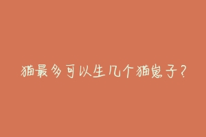 猫最多可以生几个猫崽子?