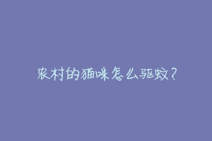 农村的猫咪怎么驱蚊?