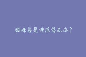 猫咪总是伸爪怎么办?