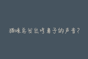 猫咪总发出哼鼻子的声音?